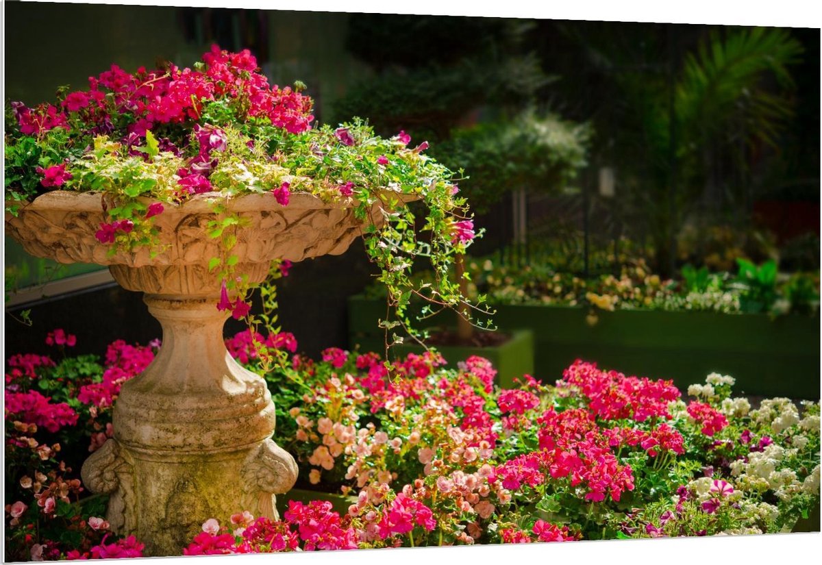 Forex - Roze Bloemenstruik met Fontein - 150x100cm Foto op Forex