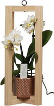 Orchidee | Trésor Pallissade Koper pot  | Living Collection