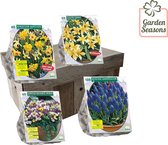 Bloembollen verwildering pakket 250 bloembollen  | Bloembollen | Blumenzwiebeln | Flowerbulbs| Cadeau | Bloemen