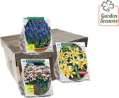 210 Mooie bloembollen | Bloembollen | Blumenzwiebeln | Flowerbulbs| Cadeau | Bloemen | Allium | tulpen | Krokus