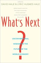 What's Next?: Unconventional Wisdom on the Future of the World Economy