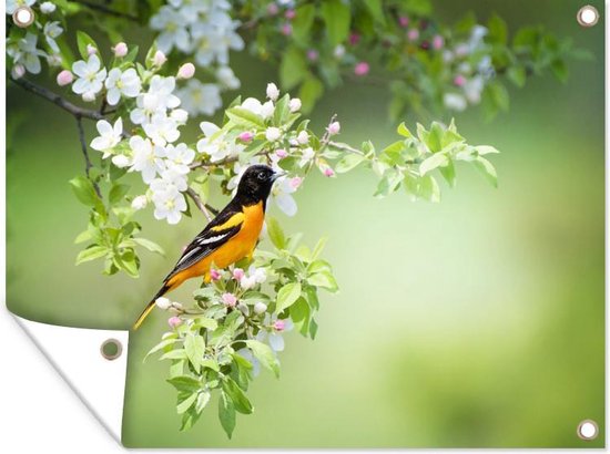 Petite Maison D'oiseau En Bois Accroché à Une Branche D'arbre à  L'extérieur.