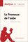 Fiche de lecture - La Promesse de l'aube de Romain Gary (Analyse de l'oeuvre), Analyse complète et résumé détaillé de l'oeuvre - Natacha Cerf, Lepetitlittéraire