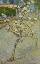 Vincent van Gogh, Perenboompje in bloei, 1888 op aluminium, 100 X 150 CM