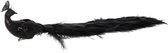 J-Line Pauw Toe Staart Veren Zwart L 16 x B 14 x H 15 cm