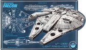 Wandbord Zeer Exclusief - Star Wars Millennium Flacon