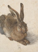 Schetsboek, Haas, Dürer