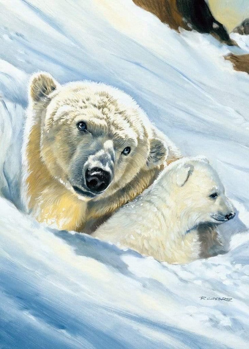 PGM Kunstdruk Renato Casaro - Eisbär-Mama 50x70cm Divers