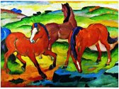 Franz Marc - Die großen roten Pferde Kunstdruk 71x56cm