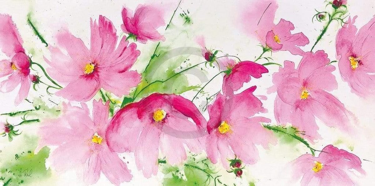 PGM Kunstdruk Heidi Reil - Rosa Kosmeen 100x50cm Divers