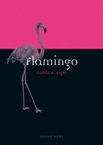 Animal - Flamingo