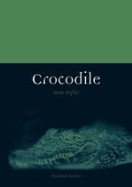 Animal -  Crocodile