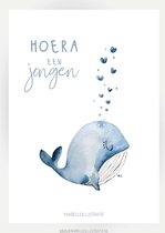 hoera! een jongen met walvis MI153