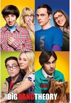 Grupo Erik The Big Bang Theory Mosaico  Poster - 61x91,5cm