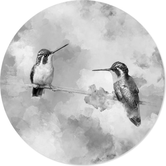 Graphic Message Print op Cirkel Kolibries - Vogels Zwart Wit