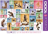 Eurographics puzzel Yoga Cats - 1000 stukjes