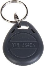 WL4 RFID tags grijs met key ring (10 stuks) met serienummer