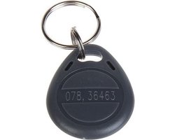 WL4 RFID tags grijs met key ring (10 stuks) met serienummer