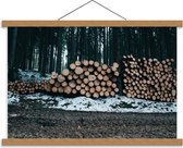 Schoolplaat – Opgestapeld hout in het Bos - 60x40cm Foto op Textielposter (Wanddecoratie op Schoolplaat)
