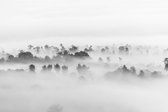 Fog in nature 90 x 60  - Dibond