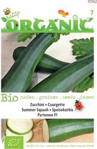 Buzzy® Organic Courgette Partenon F1 (BIO)
