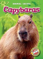 Animal Safari - Capybaras