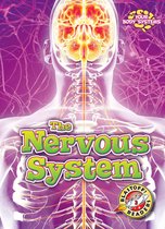 Your Body Systems - Nervous System, The