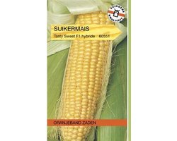 OBZ 660551 Suikermais Tasty Sweet F1