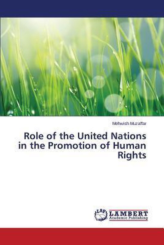 Human Rights Promotion Role of the United Nations in the Promotion of Human Rights ...