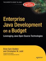 Enterprise Java Development on a Budget