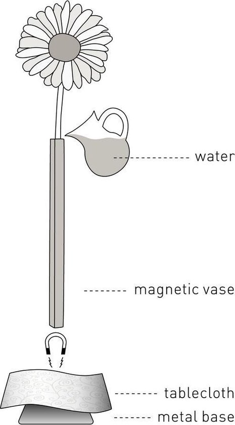 Magnetische vaasjes (set van 5) van Peleg Design Magnetische vaasjes (set van 5) van Peleg Design