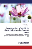 Regeneration of Multiple Shoot Induction in Cajanus Cajan