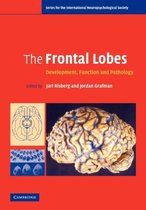 Frontal Lobes