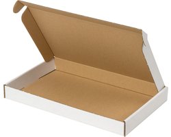 Brievenbusdoos A5 - 100 stuks - 255 x 160 x 28 mm