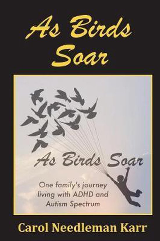 As Birds Soar - cover
