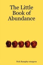 The Little Book of Abundance
