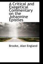 A Critical and Exegetical Commentary on the Johannine Epistles