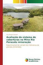 Avaliação do sistema de coberturas na Mina Rio Paracatu mineração