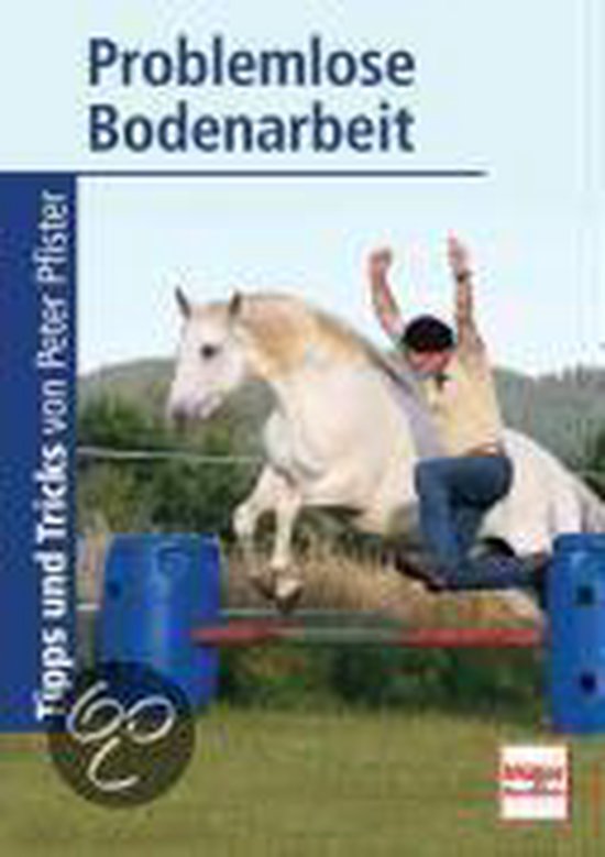 Problemlose Bodenarbeit - cover