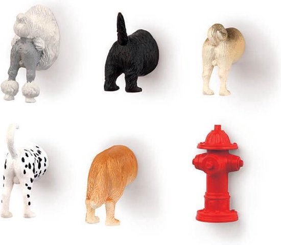 Is aan het huilen Snel ergens Honden Derrières magneten - Koelkastmagneten - Set van 6 stuks | bol.com