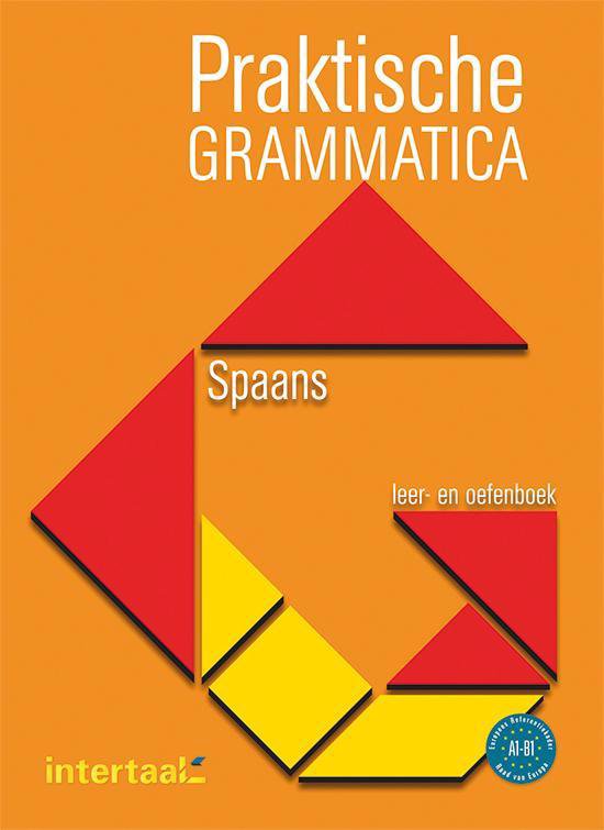 Praktische grammatica Spaans leer- en oefenboek