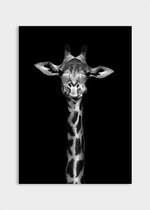 Poster Dark Giraffe - Dibond - Meerdere Afmetingen & Prijzen | Wanddecoratie - Interieur - Art - Wonen - Schilderij - Kunst