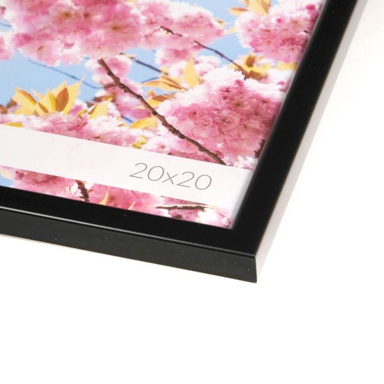 Zwarte fotolijst met een close-up van roze bloesems tegen een blauwe lucht.