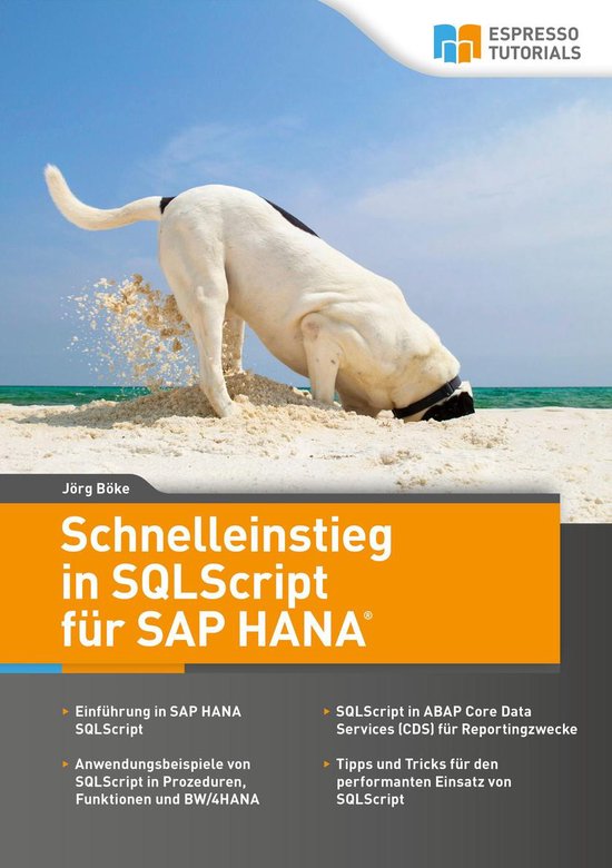 Schnelleinstieg in SQLScript für SAP HANA - cover