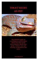 Tokay Gecko as Pet