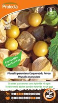 Protecta Groente zaden: Physalis ananaskers