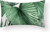 Kussenhoes Palm - Davina Long - Kussenhoes - 30x50 cm - Sierkussen - Polyester