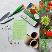 DIY Moestuin groenten pakket