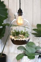 Thils Living TERRARIUM BAL 220V LICHT D19XH28CM | set van 2 stuks