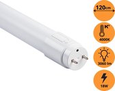 Proventa PowerPlus LED TL lamp 120 cm met G13 fitting - 18W - 3060 lm - 1 x LED T8 buis 120 cm